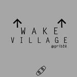 Wake Village Gribze wake park