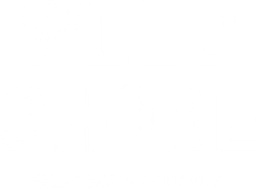 Wild Shore Delamere wake park