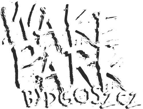 Wakepark Bydgoszcz