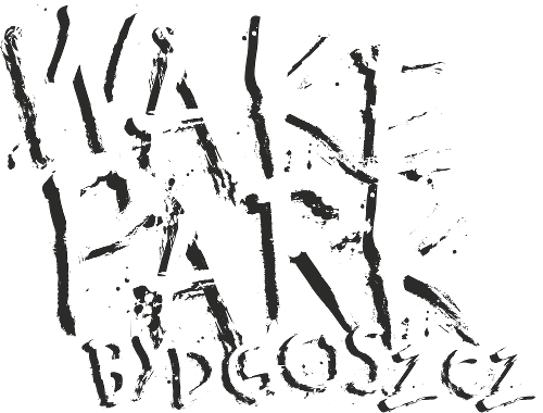 Wakepark Bydgoszcz wake park